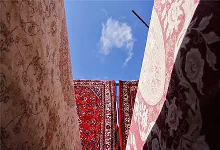 راز برتری قالیشویی های منطقه آذری